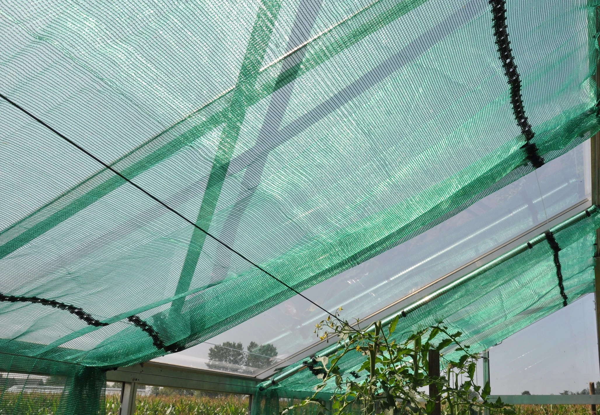 Royal Well Schermgaas Rw30-Screen Groen Gecoat 400 cm - Afbeelding 1
